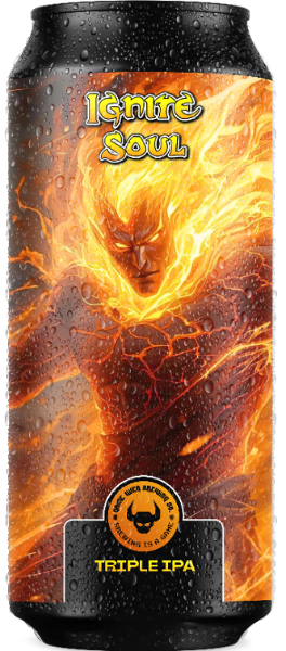 Game Over Ignite Soul