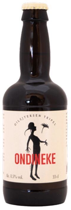 De Glazen Toren Ondineke