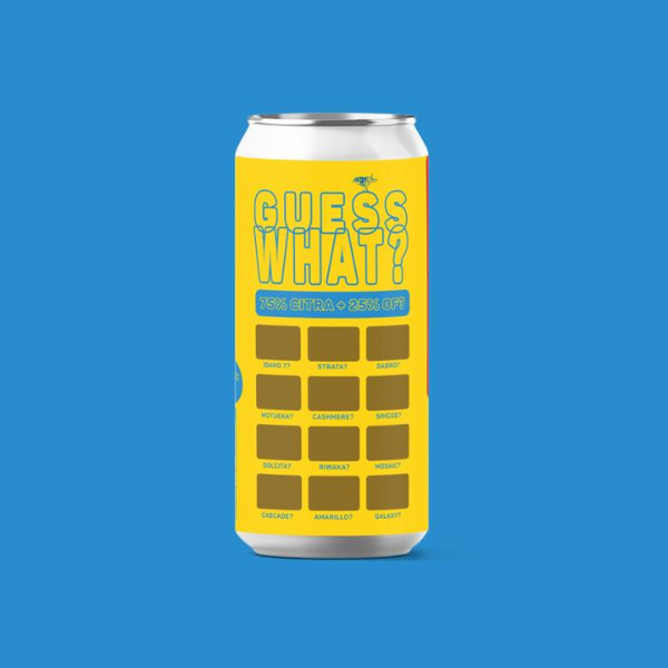 Atelier Vrai Guess What? Citra + ?